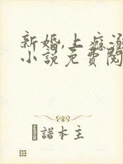 新婚,上瘾溺舟小说免费阅读