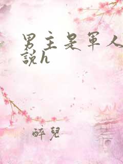 男主是军人的小说h