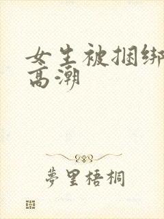 女生被捆绑调教高潮