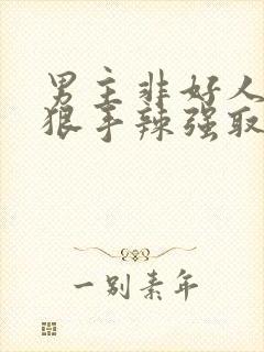 男主非好人,心狠手辣强取豪夺的小说