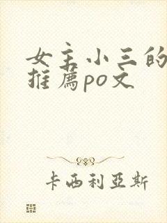 女主小三的小说推荐po文