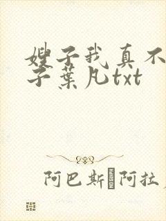 嫂子我真不是傻子叶凡txt