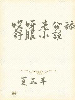 哎呀老公舔的好舒服小说