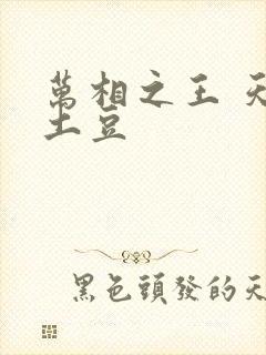 万相之王 天蚕土豆