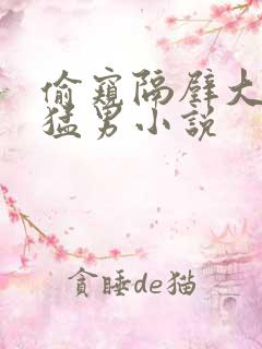 偷窥隔壁大唧唧猛男小说