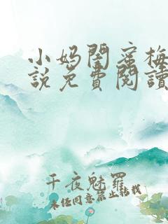 小妈闺蜜梅姨小说免费阅读