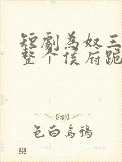 短剧为奴三年后整个侯府跪着求我原谅全集