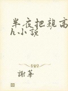 半夜把亲高潮了h小说