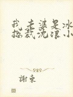 我老婆是冰山女总裁沈浪小说