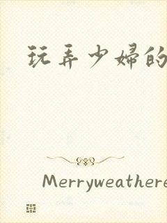 玩弄少妇的小说