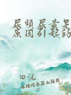 尿频尿黄是什么原因引起的