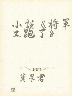 小说《将军夫人又跑了》