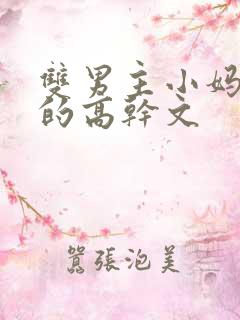 双男主小妈文学的高干文