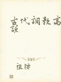 古代调教高h小说