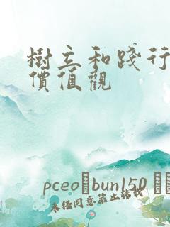 树立和践行正确价值观