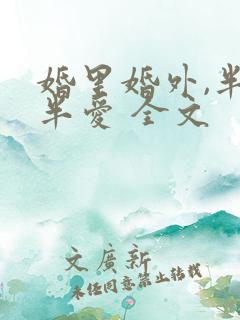婚里婚外,半欢半爱 全文