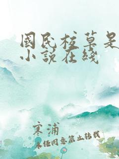 国民校草是女生小说在线