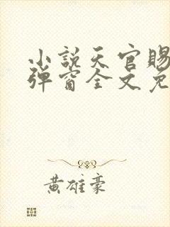 小说天官赐福无弹窗全文免费阅读