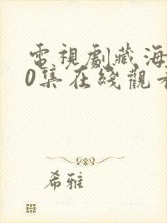 电视剧藏海传40集在线观看