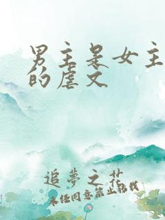 男主是女主继兄的虐文