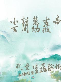 小说万古帝婿夜玄周幼薇