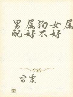 男属狗女属鼠婚配好不好