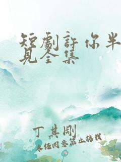 短剧许你半生不见全集