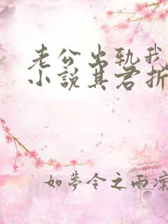 老公出轨我离婚小说其君折枝