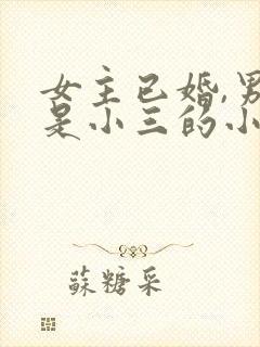 女主已婚,男主是小三的小说