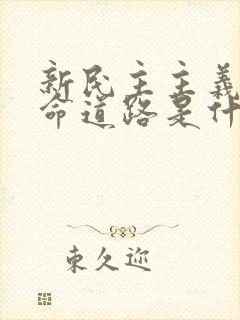 新民主主义的革命道路是什么