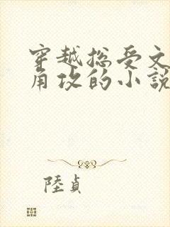 穿越总受文里抢角攻的小说