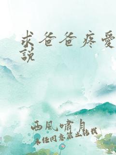 求爸爸疼爱我小说