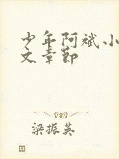 少年阿斌小说全文章节