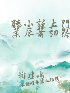 听小说上门龙婿叶辰萧初然