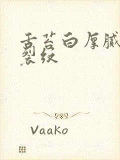 舌苔白厚腻中竖裂纹