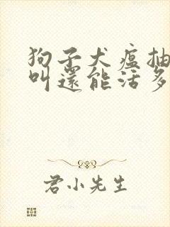 狗子犬瘟抽搐嚎叫还能活多久