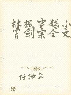 林枫穿越小说神霄剑宗全文阅读