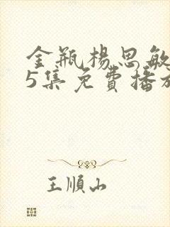 金瓶杨思敏1一5集免费播放