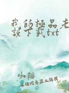 我的极品老婆小说下载txt