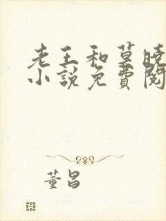 老王和莫晓晓的小说免费阅读