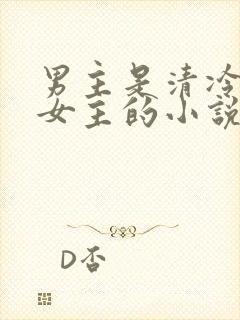 男主是清冷丞相女主的小说