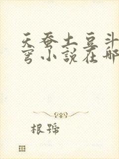 天蚕土豆斗破苍穹小说在哪可以看