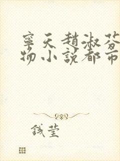 宁天赵淑芬主人物小说都市神医