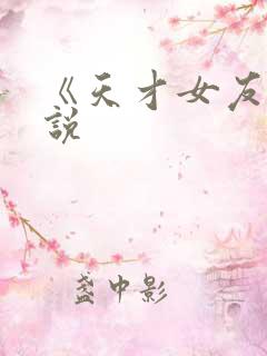 《天才女友》小说