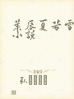 叶辰夏若雪有声小说