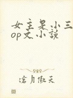 女主是小三的pop文小说
