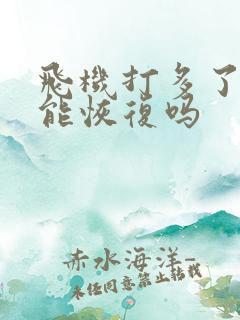 飞机打多了变小能恢复吗