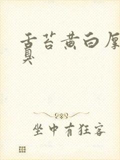 舌苔黄白厚腻口臭