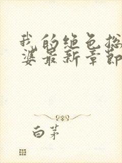 我的绝色总裁老婆最新章节阅读