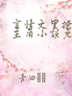 言情文里撩直男主角小说免费阅读辞玖